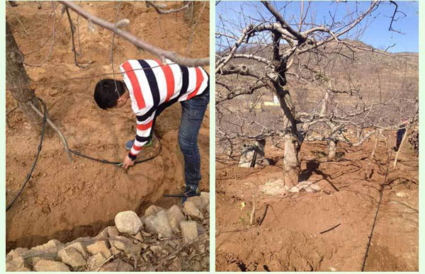 專利地埋式滲灌管